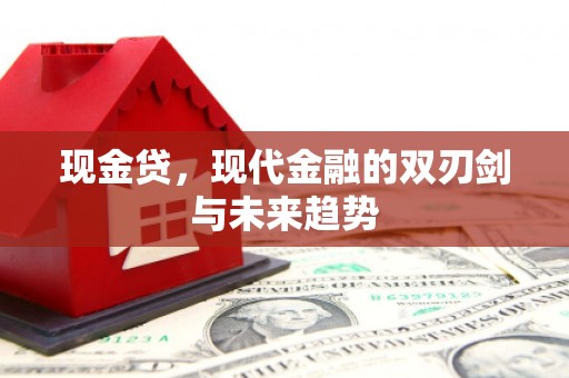 泗阳现金贷，现代金融的双刃剑与未来趋势