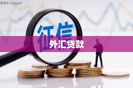 泗阳外汇贷款