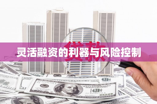 泗阳灵活融资的利器与风险控制