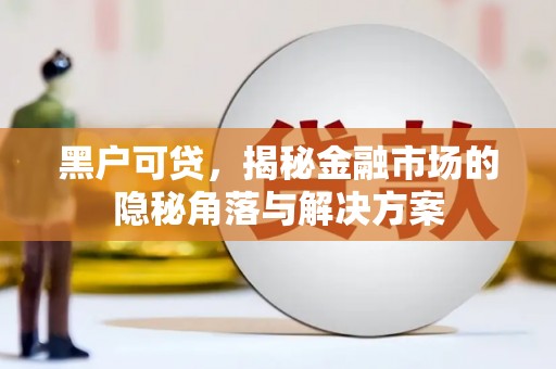泗阳黑户可贷，揭秘金融市场的隐秘角落与解决方案
