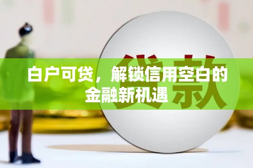 泗阳白户可贷，解锁信用空白的金融新机遇