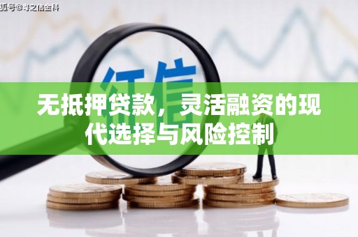 泗阳无抵押贷款，灵活融资的现代选择与风险控制