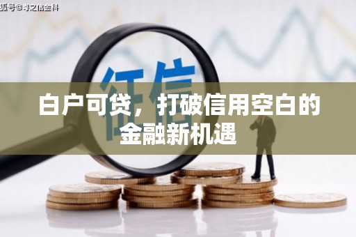 泗阳白户可贷，打破信用空白的金融新机遇
