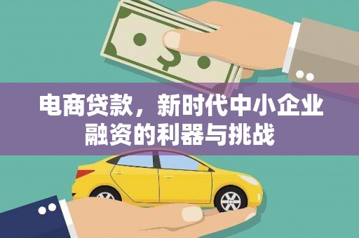 泗阳电商贷款，新时代中小企业融资的利器与挑战