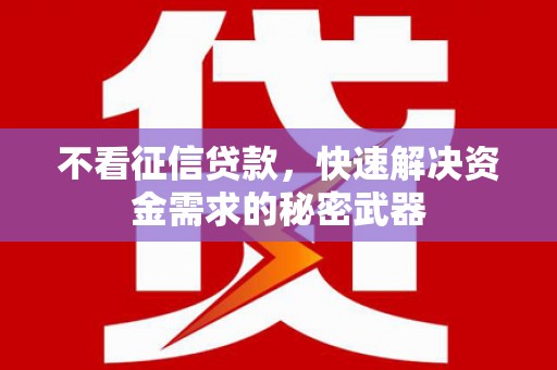 泗阳不看征信贷款，快速解决资金需求的秘密武器