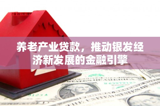 泗阳养老产业贷款，推动银发经济新发展的金融引擎