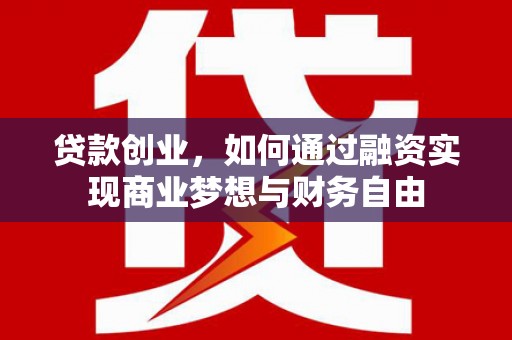 泗阳贷款创业，如何通过融资实现商业梦想与财务自由