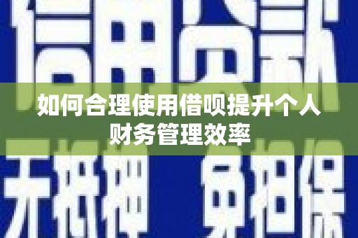 泗阳如何合理使用借呗提升个人财务管理效率