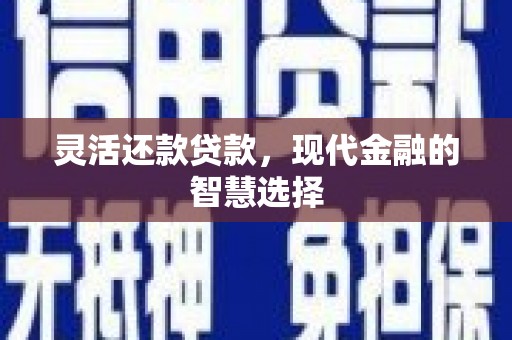 泗阳灵活还款贷款，现代金融的智慧选择