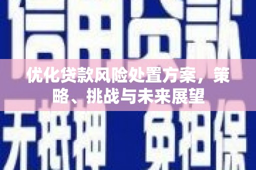 泗阳优化贷款风险处置方案，策略、挑战与未来展望