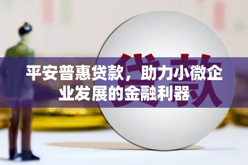 泗阳平安普惠贷款，助力小微企业发展的金融利器
