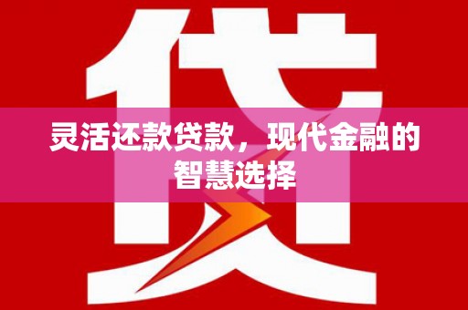 泗阳灵活还款贷款，现代金融的智慧选择