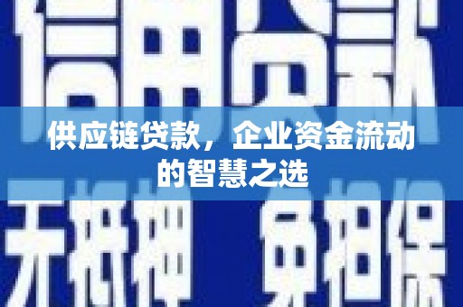 泗阳供应链贷款，企业资金流动的智慧之选