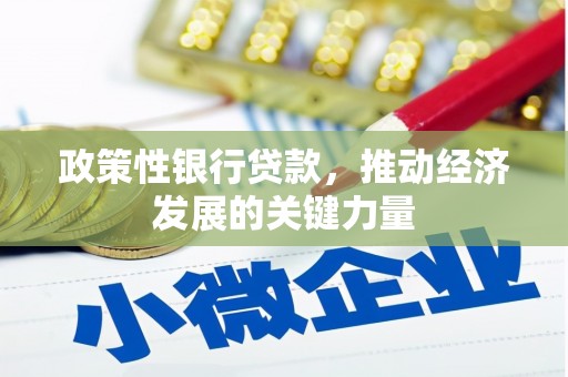 泗阳政策性银行贷款，推动经济发展的关键力量