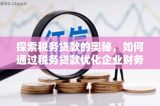 泗阳探索税务贷款的奥秘，如何通过税务贷款优化企业财务