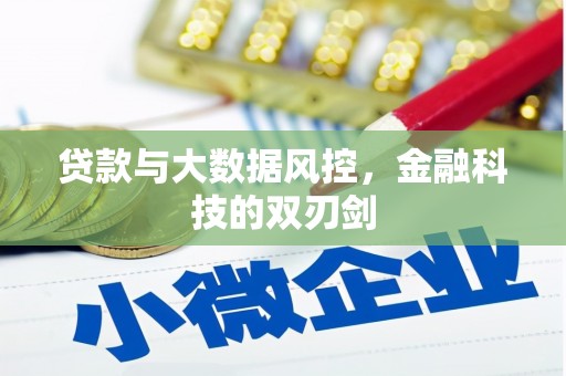 泗阳贷款与大数据风控，金融科技的双刃剑