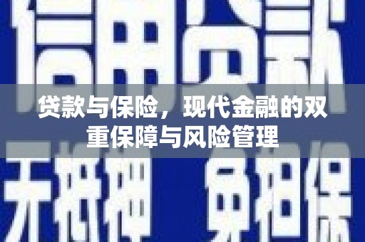 泗阳贷款与保险，现代金融的双重保障与风险管理