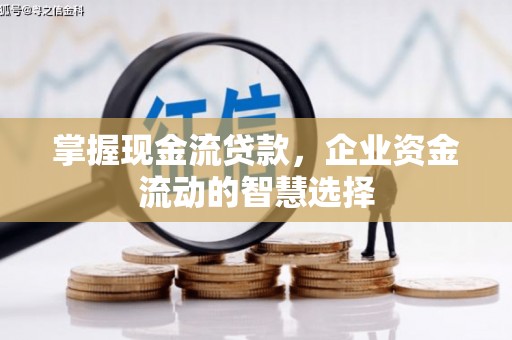 泗阳掌握现金流贷款，企业资金流动的智慧选择