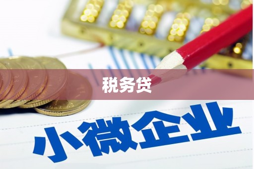 泗阳税务贷