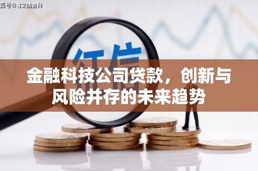 泗阳金融科技公司贷款，创新与风险并存的未来趋势