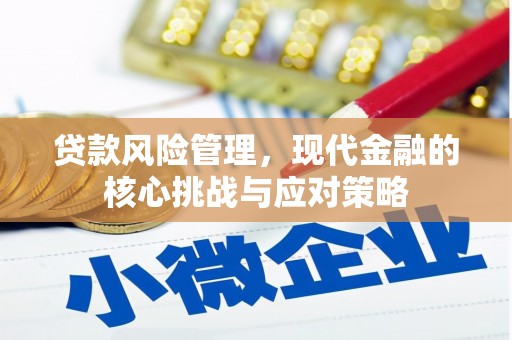 泗阳贷款风险管理，现代金融的核心挑战与应对策略