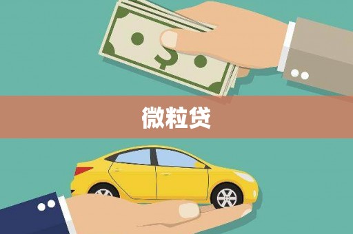 泗阳微粒贷