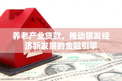 泗阳养老产业贷款，推动银发经济新发展的金融引擎