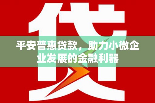 泗阳平安普惠贷款，助力小微企业发展的金融利器