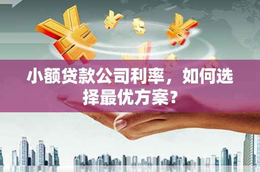泗阳小额贷款公司利率，如何选择最优方案？