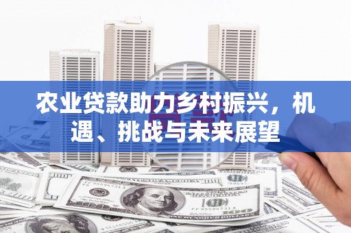 泗阳农业贷款助力乡村振兴，机遇、挑战与未来展望