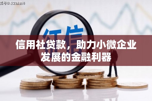 泗阳信用社贷款，助力小微企业发展的金融利器