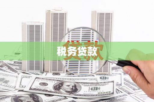 泗阳税务贷款