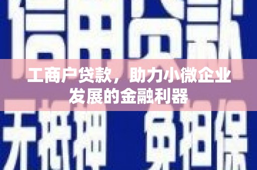泗阳工商户贷款，助力小微企业发展的金融利器