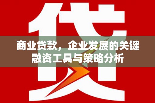 泗阳商业贷款，企业发展的关键融资工具与策略分析