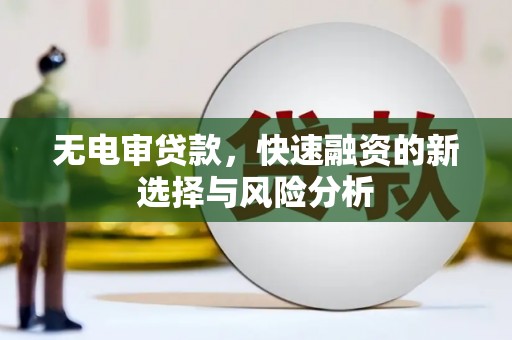 泗阳无电审贷款，快速融资的新选择与风险分析