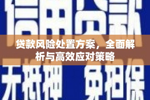 泗阳贷款风险处置方案，全面解析与高效应对策略
