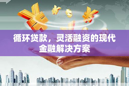 泗阳循环贷款，灵活融资的现代金融解决方案