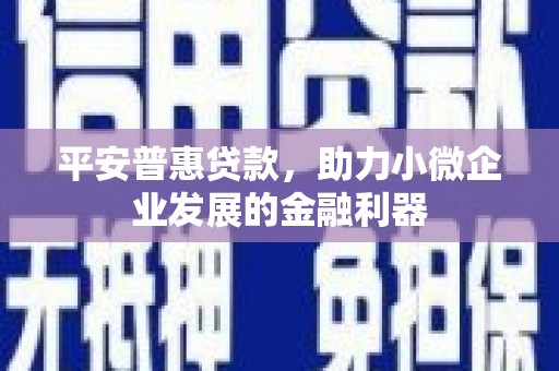 泗阳平安普惠贷款，助力小微企业发展的金融利器