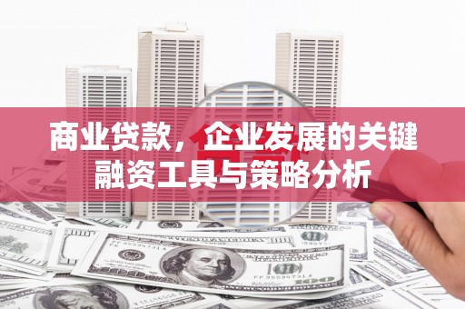 泗阳商业贷款，企业发展的关键融资工具与策略分析