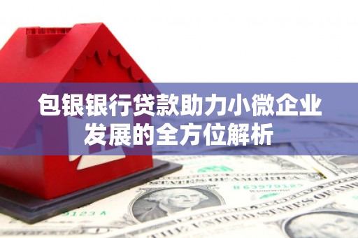 泗阳包银银行贷款助力小微企业发展的全方位解析