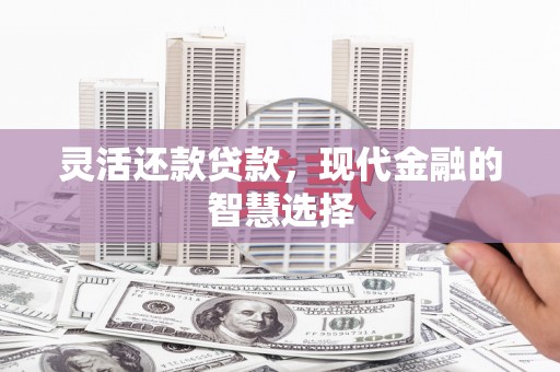 泗阳灵活还款贷款，现代金融的智慧选择