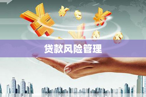 泗阳贷款风险管理
