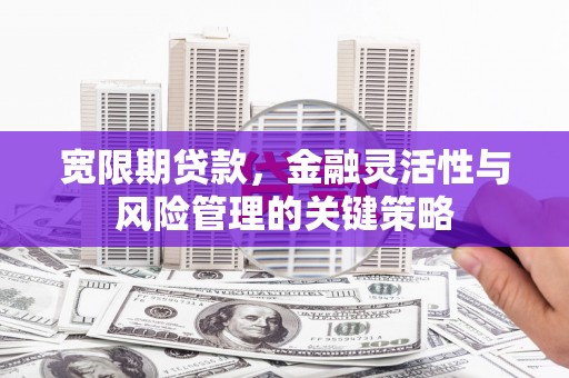 泗阳宽限期贷款，金融灵活性与风险管理的关键策略