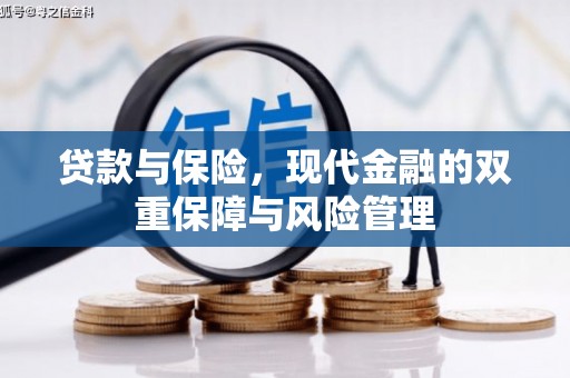 泗阳贷款与保险，现代金融的双重保障与风险管理