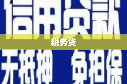 泗阳税务贷