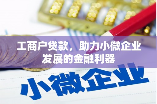 泗阳工商户贷款，助力小微企业发展的金融利器