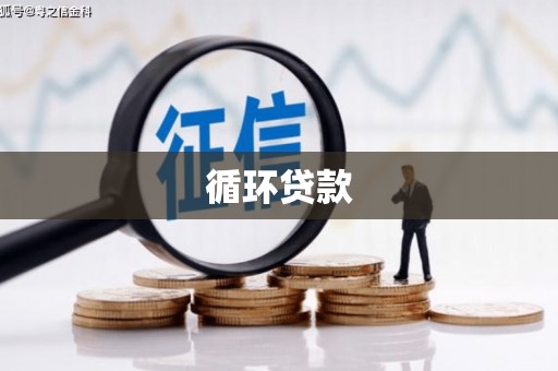 泗阳循环贷款