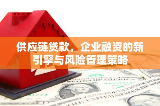 泗阳供应链贷款，企业融资的新引擎与风险管理策略