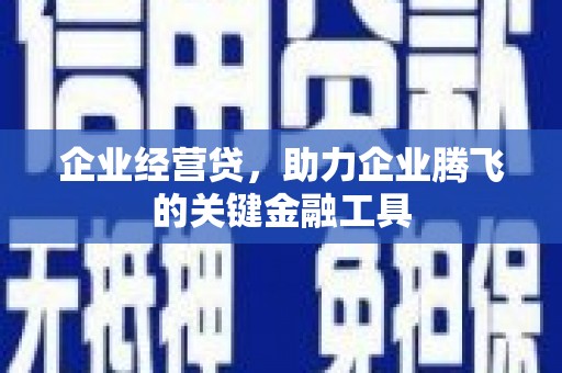 泗阳企业经营贷，助力企业腾飞的关键金融工具