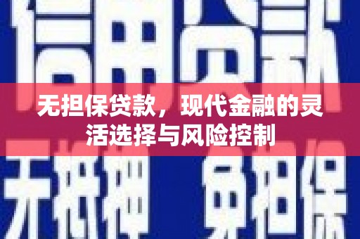 泗阳无担保贷款，现代金融的灵活选择与风险控制